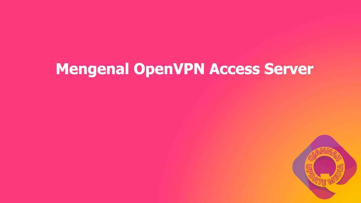 Mengenal OpenVPN Access Server